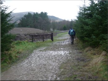 Cleveland Way churned to mud by scores of boots