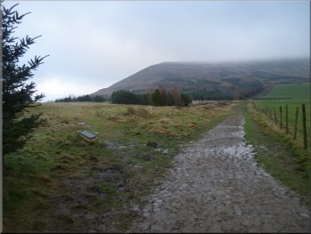 Looking back to Cringle Moor hidden in low cloud again