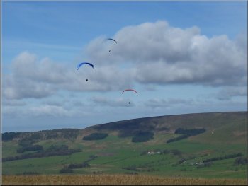 Paragliders in action over the ridge