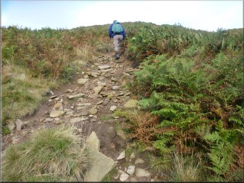 Path up the hillside above Boar Clough
