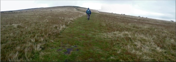 Footpath across the open moor heading for the edge of the escarpment