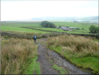 Near the bottom of the path from Pendle Hill