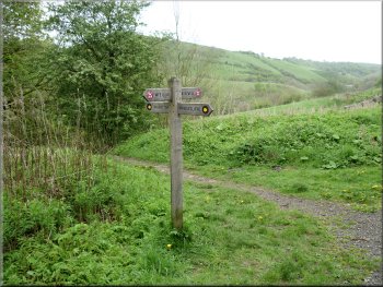The woodland path emerged on to the Monsal Trail