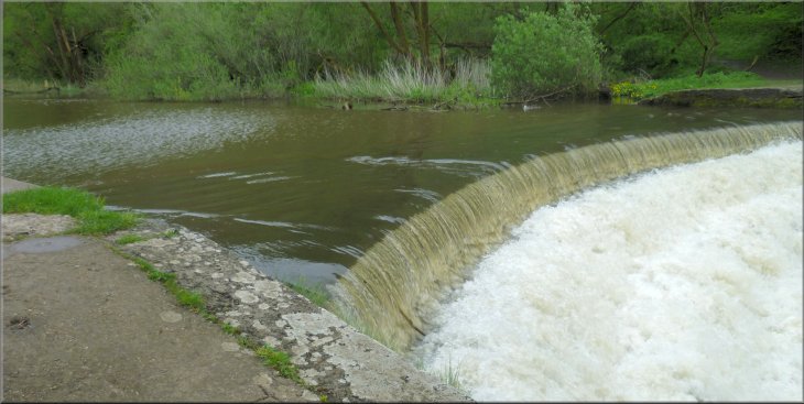 High curved weir on the River Wye that the goosander & family swam over with out coming to any harm