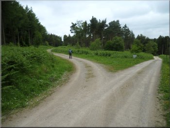 turning left to follow the track through Roppa Wood