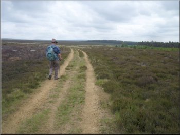 Moorland track following the edge of Roppa Wood