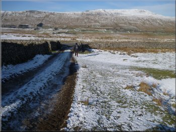 Track down the field edge with Whernside ahead