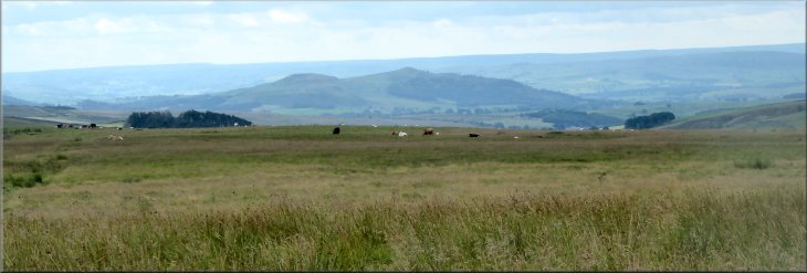 Looking south east from Mastiles Lane to Elbolton Hill, a reef knoll, in Wharfedale