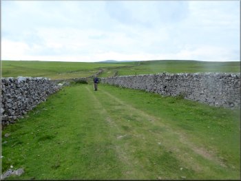 A walled section of Mastiles Lane