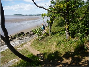Path from the shore to the woodland near far Arnside