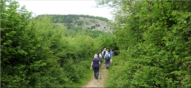 Path heading towards Arnside Tower with the ridge of Arnside Knott ahead