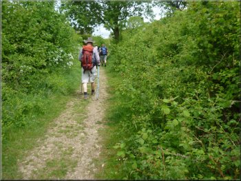 Path between hedges along the caravan site boundary