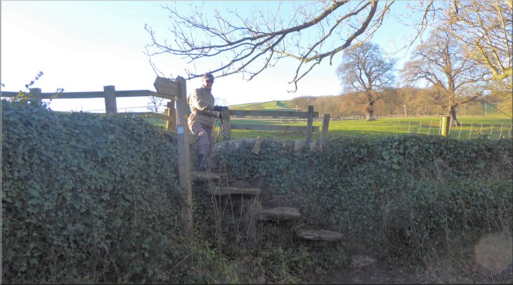 Stone step stile up from the edge of the B6160 to the field above the road