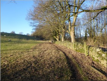 Path along the edge of the fields above the B6160
