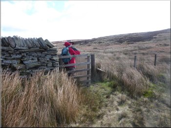 Turning left through the kissing gate in the wall