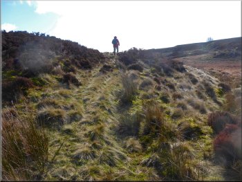 Path across the moor