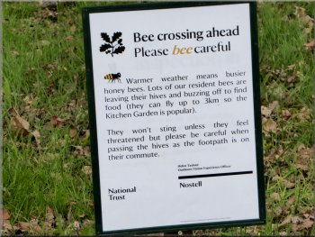 Beware low flying bees !