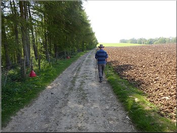 Following the track between the wood and the fields