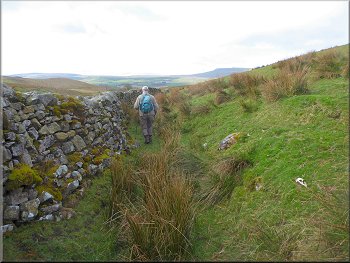 Path by the wall from the sheep pens towards Nether Lodge