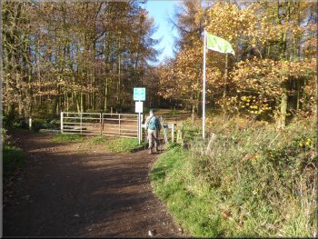 Path entering Haw Park Wood