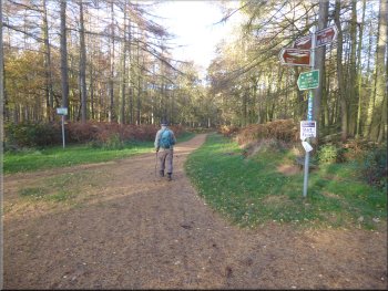 'Trans Pennine Trail' through Haw Park Wood