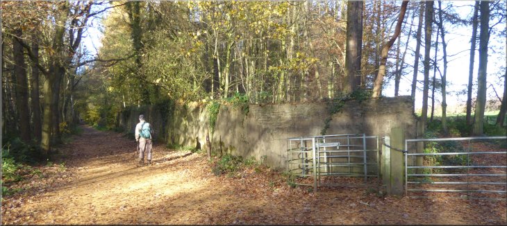 Trans Pennine Train next to the old nature reserve wall, the gate on the right leads to a path around the woodland edge