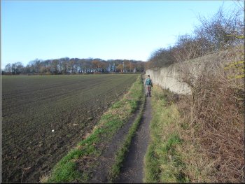Trans Pennine Trail next to the nature reserve wall