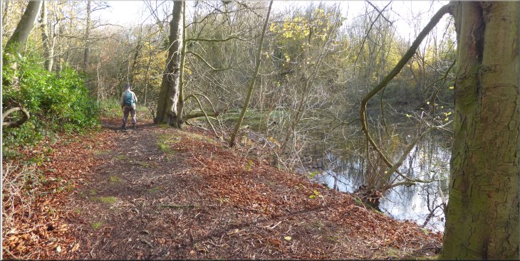 The lake side path through Stubbs Wood