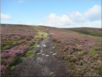 Following the clear path across the moor