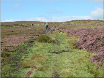 Following the clear path across the moor