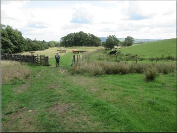 Path across the fields from Stead Lane became a farm track