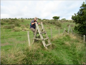 Ladder stile back into the field