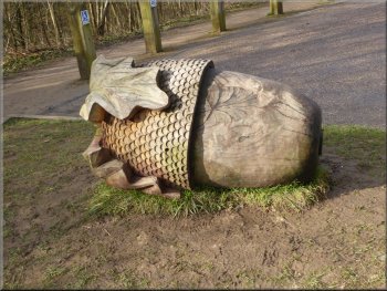 One of several large carved acorns in the visitor centre car park