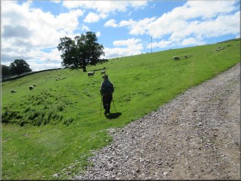 Leaving the track following the Nidderdale Way across the field