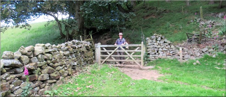Gate in the corner of the field to the Nidderdale Way track up along the woodland edge