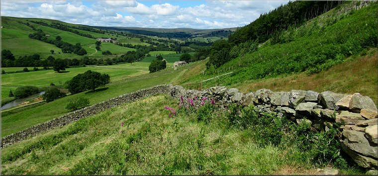 Looking up Nidderdale towards Lofthouse from the Nidderdale Way above Longside farm