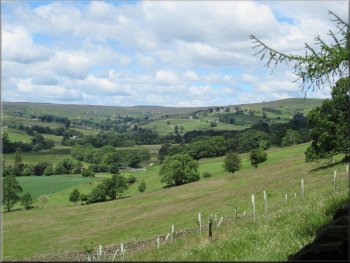 Looking along Nidderdale from the edge of the woodland