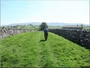 Approaching Owslin farm along the walled track