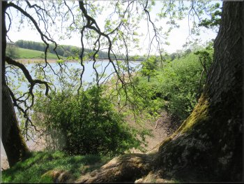 The reservoir from the path up the side of the gully