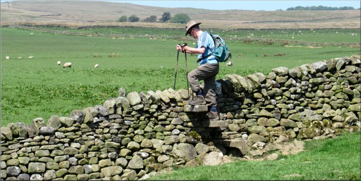 Stone step stile over the wall on to a farm access road at the top of the field