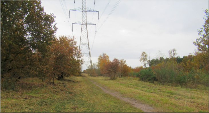 Cleared corridor across the woodland for the power lines