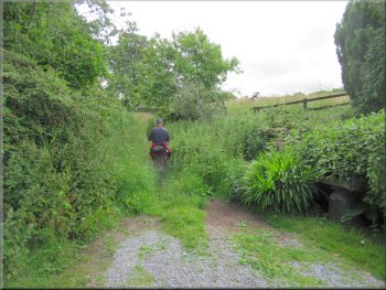 Overgrown footpath from the end of the lane