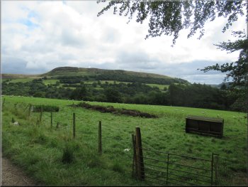 The ridge of Hawnby Hill seen from the track near the farm