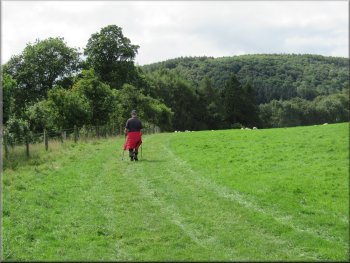 Path along the field edge to Half Moon Plantation