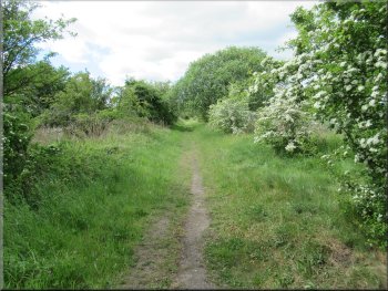 Path heading towards Sprouston