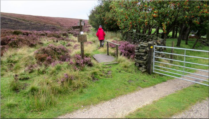 Turning left off the track on to the footpath along the boundary of the open access moorland