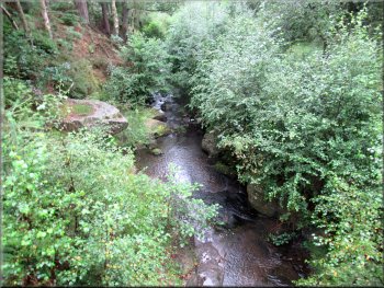 Ladhill Beck seen from the footbridge