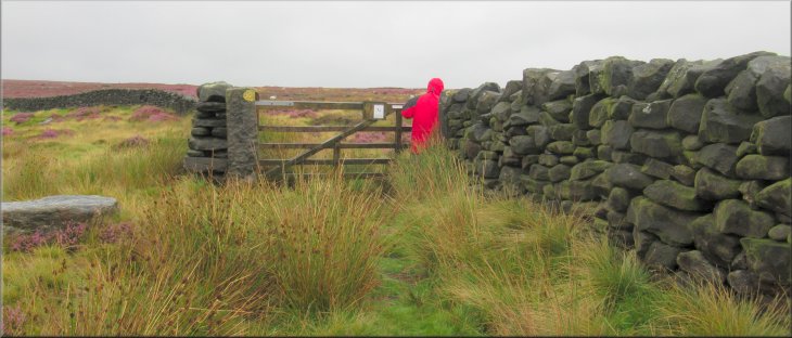 Gate onto the open moor