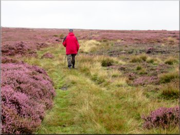 Following the clear track across the moor