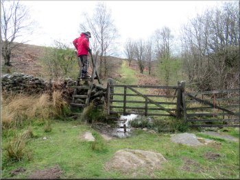 Ladder stile on to the open moor
